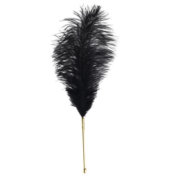 Лоскітка LOCKINK SEVANDA Natural Peacock Flirting Feather Tickler, пір&rsquo;я павича та страуса SX0895