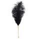 Лоскітка LOCKINK SEVANDA Natural Peacock Flirting Feather Tickler, пір&rsquo;я павича та страуса SX0895 фото 3