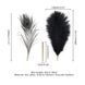Лоскітка LOCKINK SEVANDA Natural Peacock Flirting Feather Tickler, пір&rsquo;я павича та страуса SX0895 фото 5