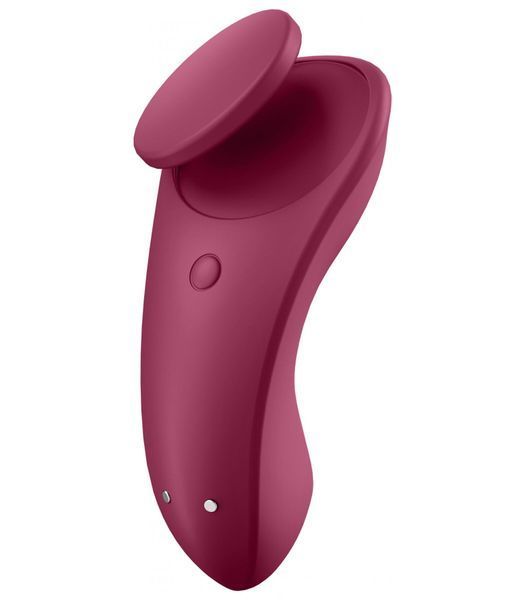 Набір Satisfyer Partner Box 1 (вібратор для пар Double Joy + вібратор у трусики Sexy Secret) SO7143