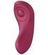 Набір Satisfyer Partner Box 1 (вібратор для пар Double Joy + вібратор у трусики Sexy Secret) SO7143 фото 7