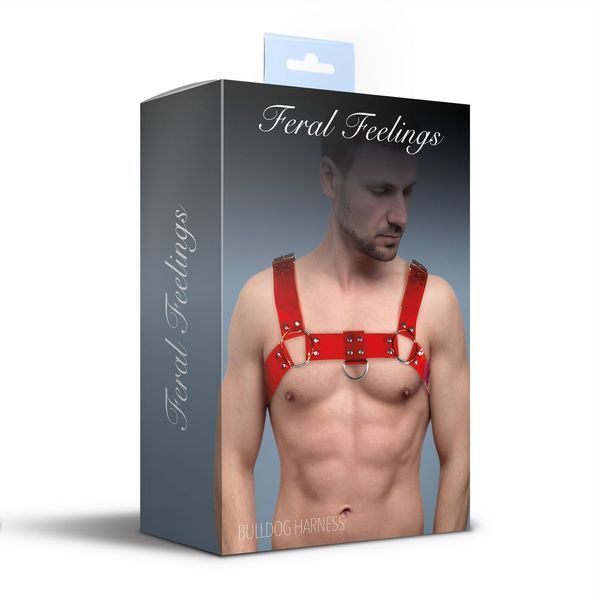 Чоловіча портупея на груди Feral Feelings - Bulldog Harness Red Trasparent SO9306