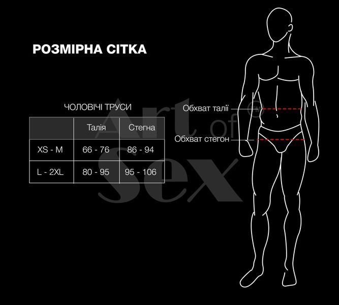 Мужские трусы XS-2XL с силиконовой анальной пробкой Art of Sex - Joni plug panties size L Black SO6170