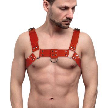 Чоловіча портупея на груди Feral Feelings - Bulldog Harness Red SO9307